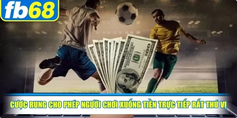 Cược rung cho phép người chơi xuống tiền trực tiếp rất thú vị